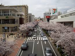 美しが丘の街の地価や価格は？豪邸エリアとして知られる理由