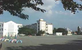通っていた小学校と地域での評判