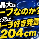 山内晶大はハーフなのか？噂の火元はローラ好き発言と204cm
