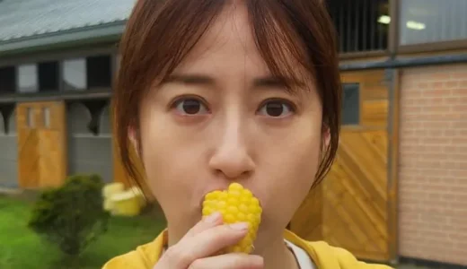 松本若菜が独身の理由やなぜ結婚しないのか？夫候補と噂された人物